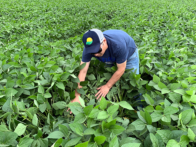 Gladir Tomazelli planted his soybeans early on his farm near Campo Verde, Brazil, in the state of Mato Grosso and is expected to start harvest in late December. (DTN photo by Lin Tan) 